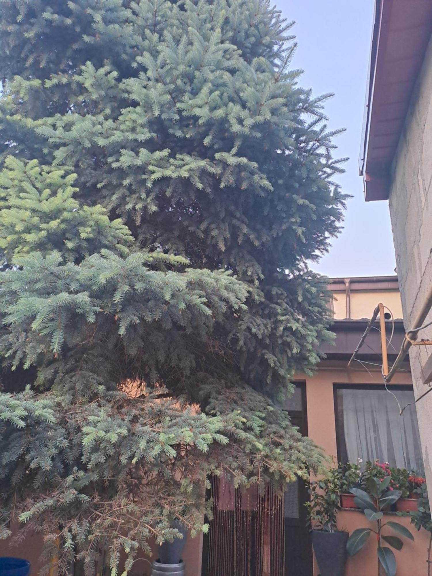 Casa Rusu Apartment กาลาจิ ภายนอก รูปภาพ